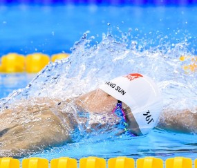 世界杯赛事信息-世界杯预选赛激战正酣，南美局势震荡波及全局，挪威生死战晋级前景牵动人心